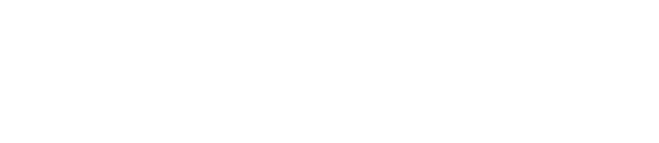 Logo de Nekun - Diseño Web en Colombia